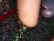 Naked submissive slut taken for a walk on a leash in forest ANAL LEASH but plug 7/16