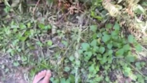 Pissing and Earthing in Nature 