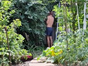 The cherry is ripe. I am harvesting. 6/16