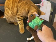 Pussy sucks deliciously on your stuff ... . She likes to be bitten hard ... . 10/16