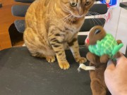 Pussy sucks deliciously on your stuff ... . She likes to be bitten hard ... . 11/16