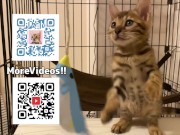 Pussy sucks deliciously on your stuff ... . She likes to be bitten hard ... . 14/16