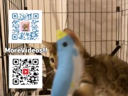 Pussy sucks deliciously on your stuff ... . She likes to be bitten hard ... . 15/16