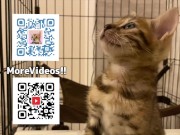 Pussy sucks deliciously on your stuff ... . She likes to be bitten hard ... . 16/16