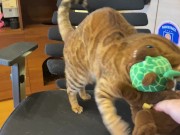 Pussy sucks deliciously on your stuff ... . She likes to be bitten hard ... . 2/16