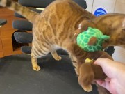 Pussy sucks deliciously on your stuff ... . She likes to be bitten hard ... . 3/16