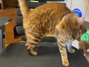 Pussy sucks deliciously on your stuff ... . She likes to be bitten hard ... . 4/16