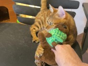 Pussy sucks deliciously on your stuff ... . She likes to be bitten hard ... . 6/16