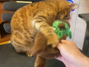 Pussy sucks deliciously on your stuff ... . She likes to be bitten hard ... . 8/16