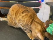 Pussy sucks deliciously on your stuff ... . She likes to be bitten hard ... . 9/16