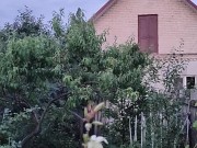 After a hot day, I water the garden 15/16