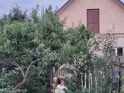 After a hot day, I water the garden 5/16