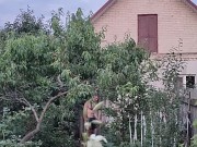 After a hot day, I water the garden 6/16