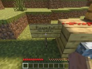 Getting  by a in Minecraft 14:  Lever 3/16