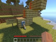 Getting  by a in Minecraft 14:  Lever 5/16