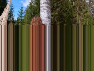 Spring sun fantasy – RosenlundX – 4K 60fps