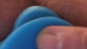My favorite blue buddy 