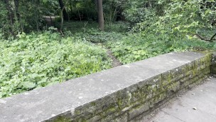 Crazy girl gives sloppy handjob in a highly frequented park with a huge cumshot - risky!