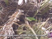 All Natural Brunettes Strip Nude In Public 11/16