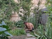 Little by little I am doing something in the garden 11/16