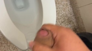Chub wanks uncut dick in public bathroom and cums in toilet.