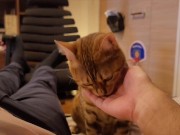 Hot kitty sucks deliciously on you ... . Pussy eating while staring at you 13/16