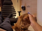 Hot kitty sucks deliciously on you ... . Pussy eating while staring at you 14/16