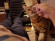 Hot kitty sucks deliciously on you ... . Pussy eating while staring at you 6/16