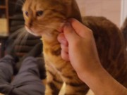 Hot kitty sucks deliciously on you ... . Pussy eating while staring at you 8/16