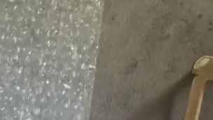 Bunni hopping Pop and Crush 