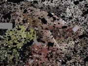 Foot slave Bobby has to serve the dominant Teen Princess Amorela as a waste bin for her filed calluses of the feet, as well 1/16