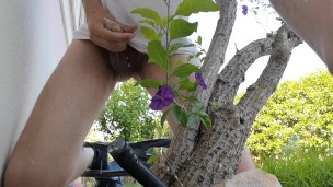 Watch me jerking off outdoors while hiding behind a tree