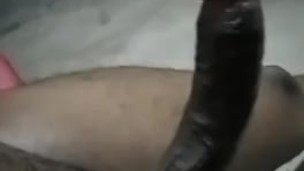 BLACK COCK