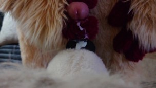 POV fursuit muzzle fuck and cumshot