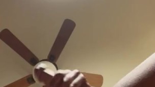 Catch this Nut 