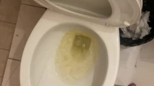 Piss into shared hostel toilet