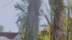 Slutboyben CAM4 Sexy Cruising Slut in Public