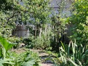 Under the sun in the garden 6/16