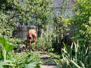 Under the sun in the garden 7/16