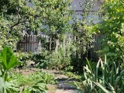 Under the sun in the garden 8/16