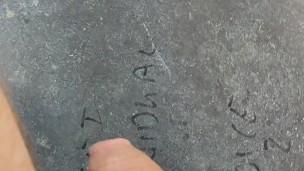 Another piss in the park
