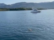 Monika Fox Morning Swimming Naked In The Bay 11/16