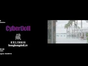 Short collection series - VLOG - Islander 2 Preview 16/16