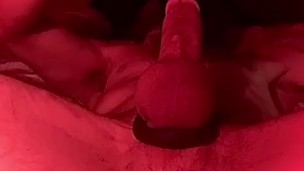 Late night Nutt…