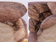 Asha VR Doggy Delight 1/16