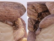 Asha VR Doggy Delight 6/16