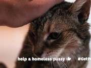 OLD (granny i'd like to foster)  LIKES TO BE GENTLY BY YOU 13/16