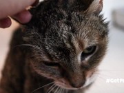 OLD (granny i'd like to foster)  LIKES TO BE GENTLY BY YOU 8/16