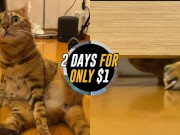 advertising parody . Click here to watch the video for free! 7/16