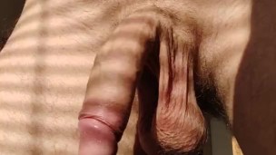Dancing cock